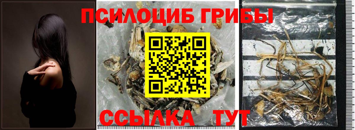 Новоалтайск  Галлюциногенные грибы мицелий  Вход с VPN 