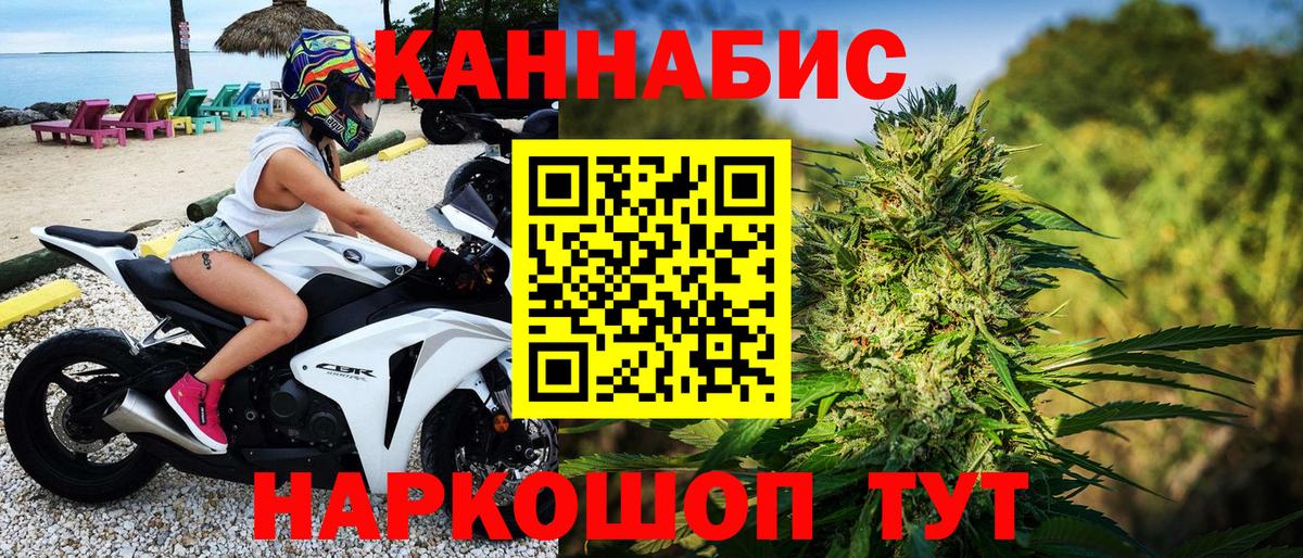 Каннабис планчик  Каннабис сатива  Шишки марихуана VHQ  Конопля семена  Вход с VPN  Новоалтайск 
